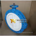 PTFE Lining Full Lug Type Butterfly Valve (D41X-10/16)